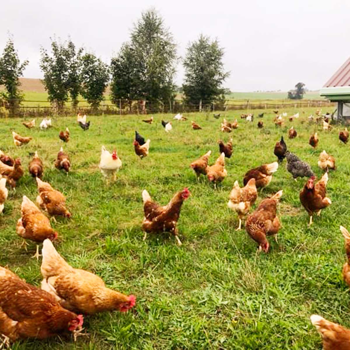 Kebulan-Reiseblog-Über-uns01