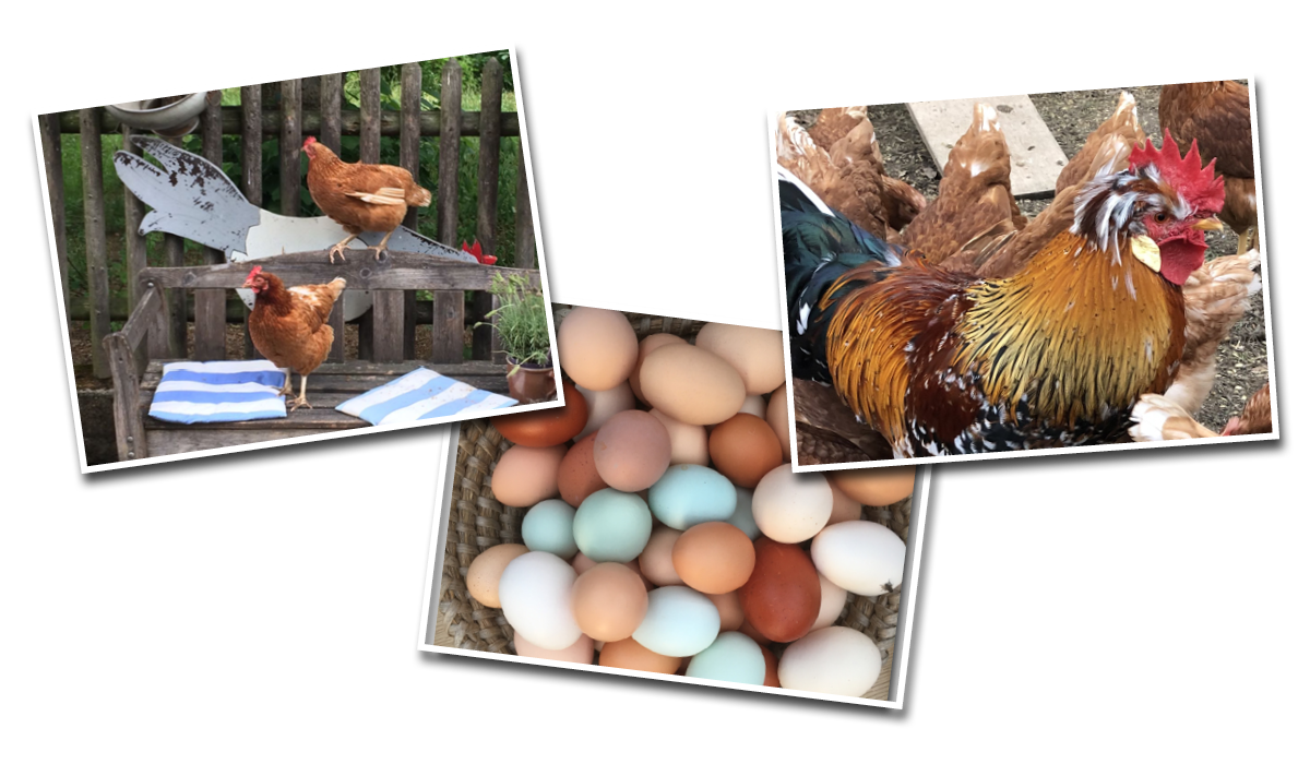 Kebulan-Reiseblog-Über-uns03