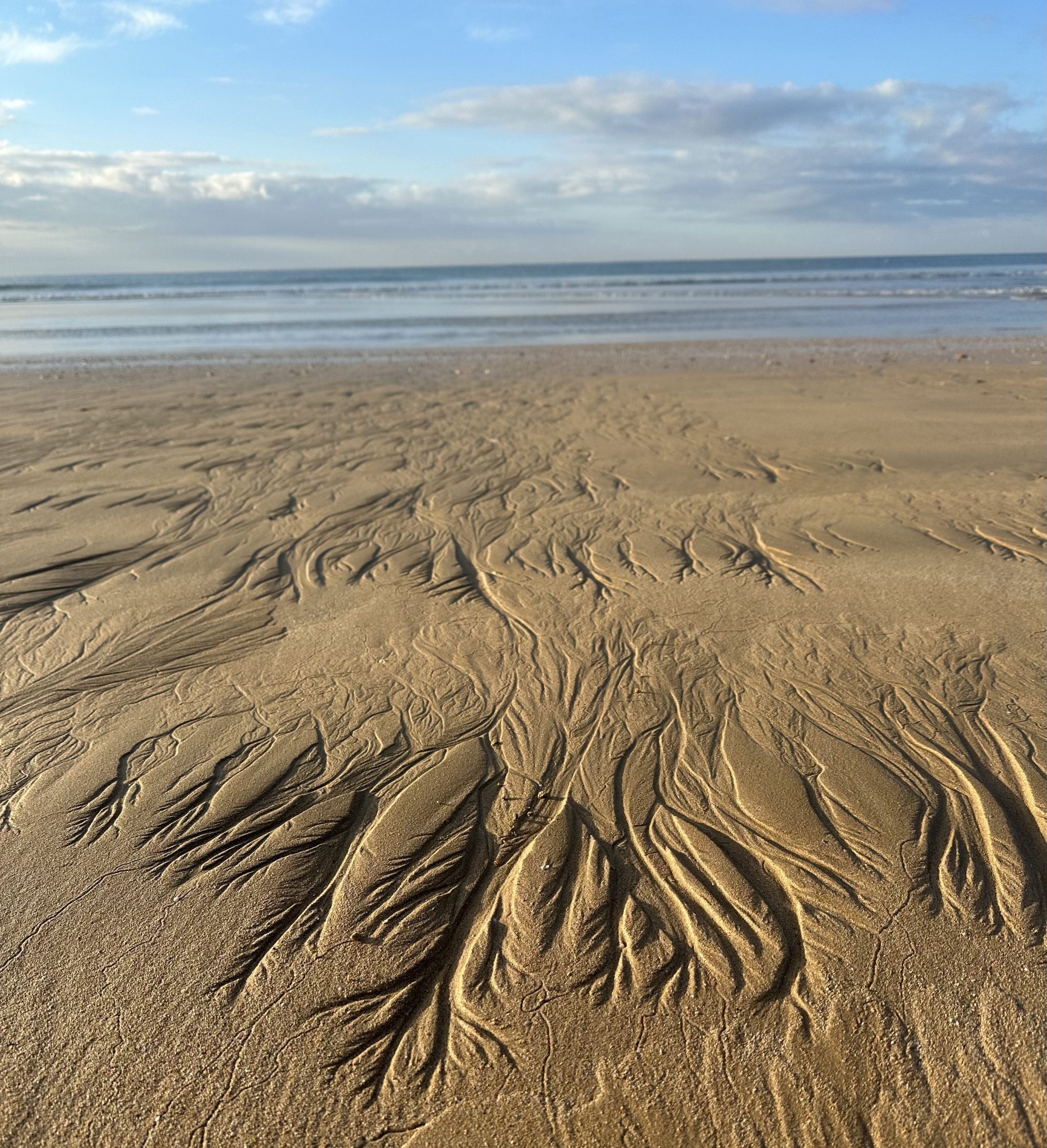 2F578D0C-F422-4CE0-9C88-0D3AEE661CC5