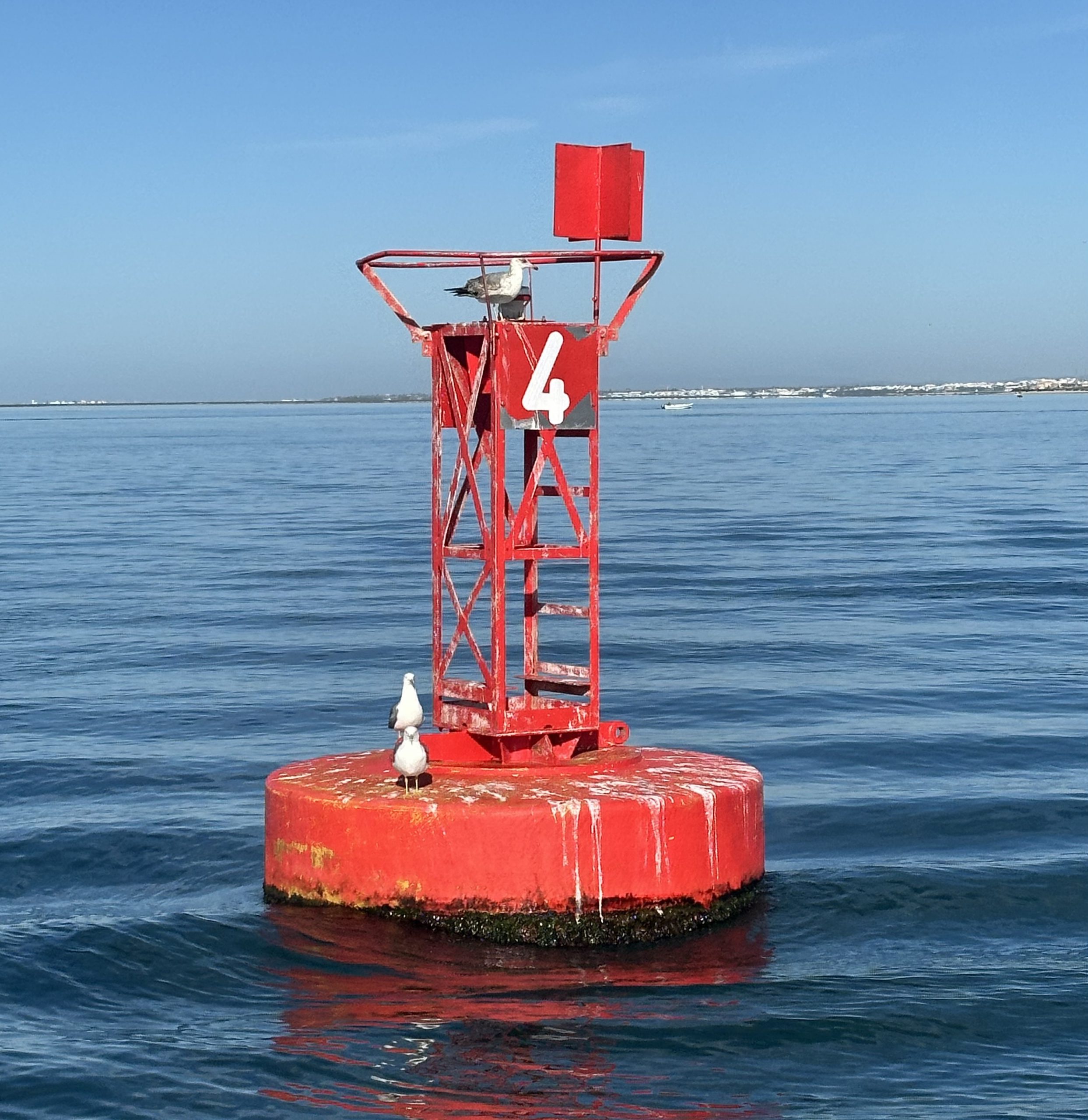 B90D765C-665B-4018-B82F-C11CD7D9D4D6